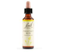 Chestnut Bud Fiori Di Bach® Original 20ml