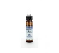 Chestnut Bud Fiori Mediterranei Fiori di Bach Forza Vitale 10ml