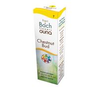 CHESTNUT BUD GOCCE 10 ML