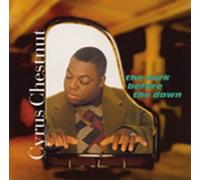 Chestnut Cyrus - Dark Before The Dawn -13T