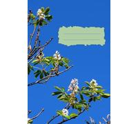 Chestnut Sky - Blank Poet's Notebook: A 120-Page Both Sides Lined Copybook for Reflection, Writing, and Everyday Calm