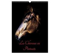 Chevaux en Portraits (Calendrier mural 2026 DIN A3 horizontal), CALVENDO calendrier mensuel: Portraits de chevaux en liberté et studio