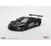 Chevrolet Corvette Z06 GT3.R 2023 Road America Test Car Scala 1:18 TSM TS0542