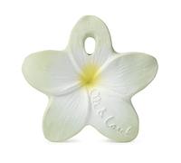 Chewy - Bali la fleur