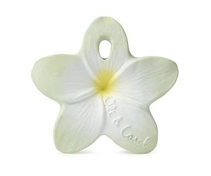 Chewy - Bali la fleur