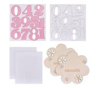 CHGCRAFT 2 Set 2 Colori Biglietti mensili con fiori per celebrare le tappe fondamentali della crescita del bambino con cartellino per annunciare la crescita del bambino