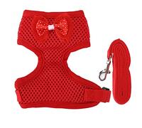 Chhelihl, per imbracatura di pollo regolabile e guinzaglio, per un magnetico galliero comodo e traspirante, per galli da gallina, il design regolabile consente un materiale adatto (Rosso)