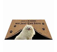 Chi Comanda? Viviamo Qui E Basta Tappeti D'Ingresso Resistente Tappeto Ingresso Casa Antisporco Tappetino Da Bagno Per Camera Letto Interno Balcone 40X60Cm