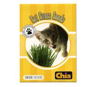 Chia 6 Count Snoozing Kitty Grass Ricarica Semi di Erba Catina Confezione da 6