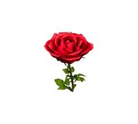 Chianese Rosa Gigante Rosso in Tessuto - Diametro Fiore 37 cm con Stelo da 110 cm | Fiore Decorativo per Eventi, Fiere, Vetrine | Senza Base Inclusa