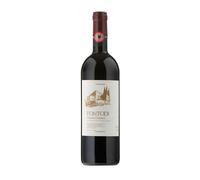 Chianti Classico BIO 2019 - 14,5% vol. Azienda agricola Fontodi