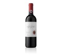 Chianti Classico DOCG Clemente VII 1 bottiglia cl. 75 Castelli del Grevepesa