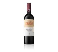 Chianti Classico DOCG Panzano Gran Selezione Castelli del Grevepesa Clemente Vino Rosso italiano (1 bottiglia 75 cl.)