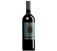 Chianti Classico Gran Selezione DOCG 2021 (BIO) 0,75 l