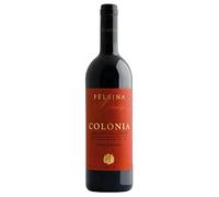 Chianti Classico Gran Selezione DOCG Colonia Fèlsina 2019 0,75 ℓ