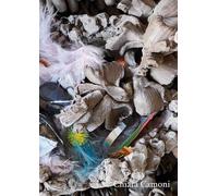 Chiara Camoni. Chiamare a raduno. Sorelle. Falene e fiammelle. Ossa di leonesse, pietre e serpentesse. Ediz. italiana e inglese