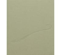 Chiara Camoni. Serpentesse - [A+Mbookstore]