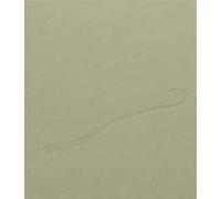 Chiara Camoni. Serpentesse. Ediz. illustrata