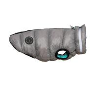 CHIARA Oskar Ultralight CHJ-2332GY/MI- XL-CHIARA - Cappotto per cani, taglia XL, materiale: poliestere, colori alla moda, comodo), grigio menta
