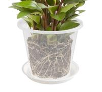 Chiari vasi 'orchidea, chiari vasi della pianta con i fori di drenaggio | Vasi per orchidee, vaso traspirante per orchidee, con fori di drenaggio e piattini, 11 cm, 14 cm e 16 cm