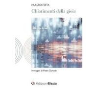 Chiarimenti della gioia