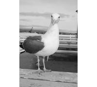 Chiarimenti su cose che non capisco: Concetti alla rinfusa scritti da un ignorante