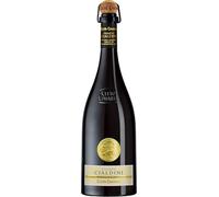 Chiarli Lambrusco Grasparossa DOC Vigneto Enrico Cialdini, Vino Rosso, 750ml, Annata 2023, 14.5% Vol