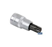 CHIAVE A BICCHIERE 1/4" CON PUNTA T-6