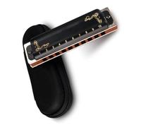 Chiave C a 10 fori Squisita armonica blues nera Qualità del suono standard facile da suonare Armonica Per Principianti