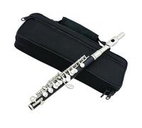 Chiave C In Lega Di Rame-nichel Tasti Piccoli Placcati In Argento Flauto Di Dimensioni Ridotte Con Custodia Imbottita E Accessori Flauto Traverso per Principiante