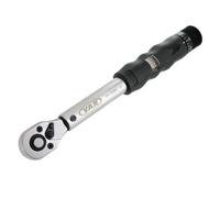 Chiave dinamometrica Var (3-14 Nm) - DV-10000