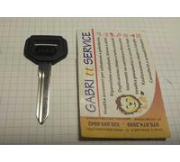 Chiave grezza AUTO TATA PIAGGIO QUARGO PORTER accensione PORTE FURGONE KEY LOCK