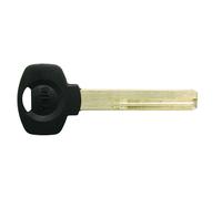 Chiave grezza testa plastica profilo 66 - (lcmyapln01rr) - 5 pz