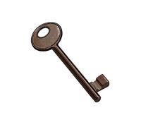 Chiave per serratura AGB patent colore bronzo CIFRATURA N.12. Apre tutte le serrature patent AGB N.12