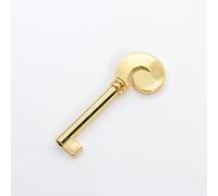 CHIAVE UNIVERSALE PER MOBILI IN ORO LUCIDO PASSO 42 MM