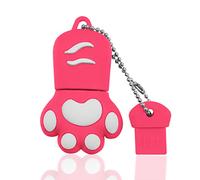 Chiavetta USB 128GB, Pendrive USB 2.0 Flash Drive 128GB Cat Paw Cute USB Pennetta Cartoon Interessante Memory USB Stick Regali per PC, Laptop, Tablet Ecc (Rosa)