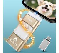 Chiavetta USB per Phone Ryican 128GB USB 3.0 Pendrive Dati Protetti da Password Photostick 4 in1 Pennetta Memoria USB con Type C-Phone/OTG Android/PC/Laptop Backup Rapido con un Solo Clic(128GB,Oro)