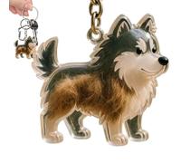 Chiavine Permanenti Per Il Lutto Per Animali Domestici - CAMPIO CHIEMAIN COLLETTORE DI CAPELLI CANCHI | Pet Hair Memorial Mustsake | Scatola Di Stoccaggio Dei Capelli Da Cucciolo Trasparente Per Ragaz