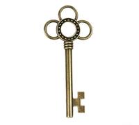 Chiavistello a forma di chiave a scheletro in ottone anticato, stile vintage, per mobili rustici, fai da te, ciondolo in metallo bronzo, ornamento per caccia al tesoro, bomboniera (D)