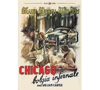 Chicago, Bolgia Infernale (DVD) Scott Brady Dorothy Hart Jane Russell