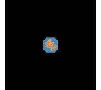 Chicago - Chicago Transit Authority