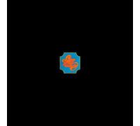 Chicago CHICAGO TRANSIT AUTHORITY CLEAR (Vinyl LP)