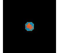 Chicago - Chicago Transit Authority (Red Vinyl)