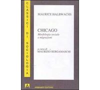 Chicago. Morfologia sociale e migrazioni