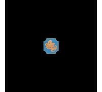 Chicago - Chicago Transit Authority