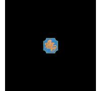 Chicago Transit Authority