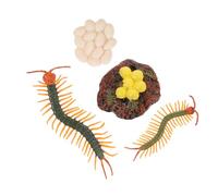 CHICAMPERA 1 set Modellini Ciclo Del Lenzuolo Figure Educative per Insegnamento Interattivo per Fasi Del Lenzuolo Sicuro e Resistente