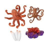 CHICAMPERA 1set Di Ciclo Di Crescita Ottopode Figura Realistica Per Educazione Dei Giocattolo Didattico Miniatura Per Comprendere La Vita Degli Animali Marini