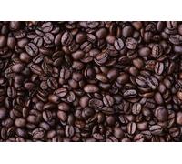 Chicchi di caffè ugandese Mount Elgon piccolo lotto arrostito in Galles Regno Unito