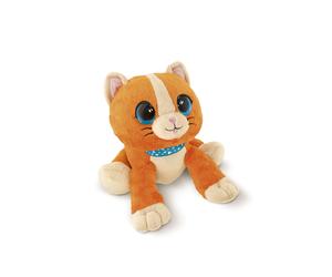 CHICCO - Dolce Gattino Cucù - Unico
